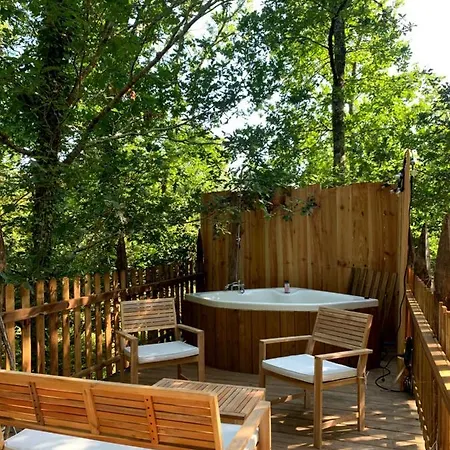 Magic Roof Bus With Big Bath In The Tree Forest! ميميزا بلاج