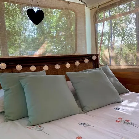 Magic Roof Bus With Big Bath In The Tree Forest! *