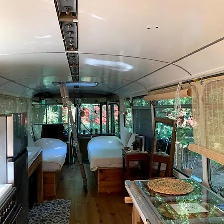 Magic Roof Bus With Big Bath In The Tree Forest!