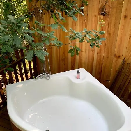 Magic Roof Bus With Big Bath In The Tree Forest!