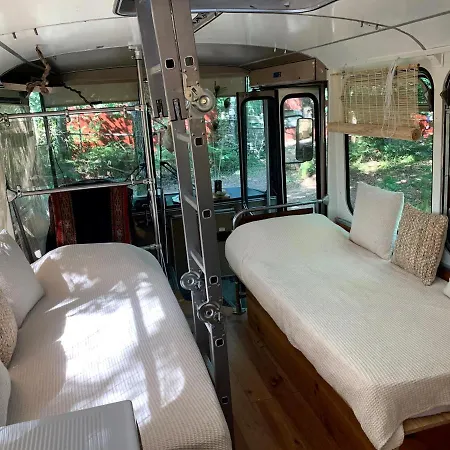 Magic Roof Bus With Big Bath In The Tree Forest! *