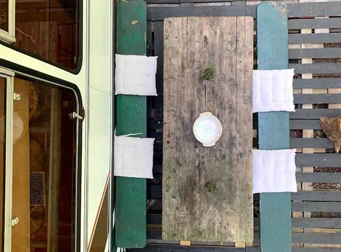 Magic Roof Bus With Big Bath In The Tree Forest! *