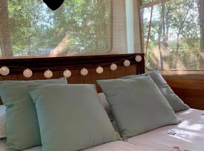 Magic Roof Bus With Big Bath In The Tree Forest! *