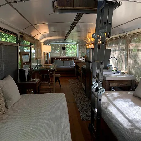 Camping Magic Roof Bus With Big Bath In The Tree Forest!