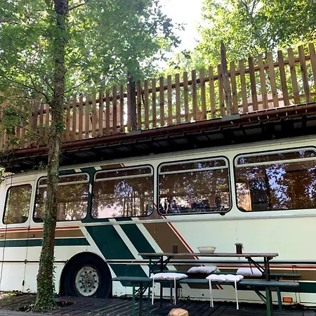 Magic Roof Bus With Big Bath In The Tree Forest! Camping Mimizan