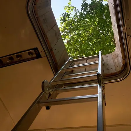 Camping Magic Roof Bus With Big Bath In The Tree Forest!