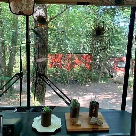 Camping Magic Roof Bus With Big Bath In The Tree Forest! Mimizan
