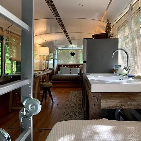 Magic Roof Bus With Big Bath In The Tree Forest! *