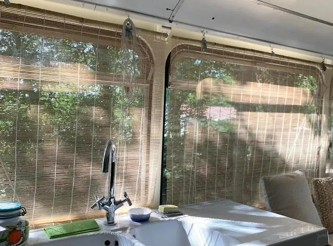 Magic Roof Bus With Big Bath In The Tree Forest! * 米尼赞海滩