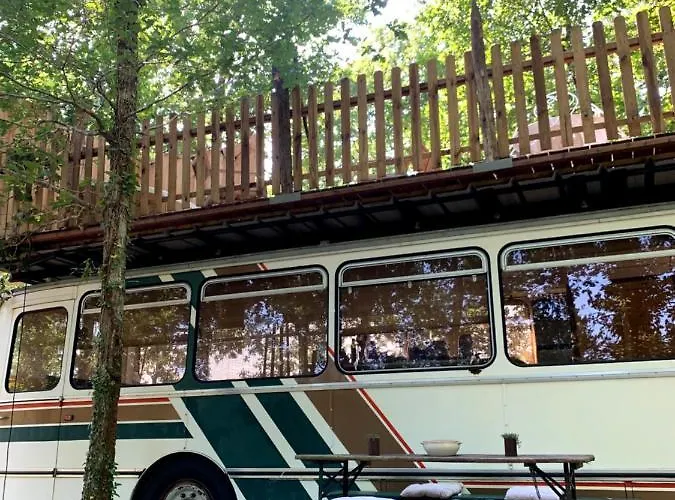 Magic Roof Bus With Big Bath In The Tree Forest! Camping Mimizan