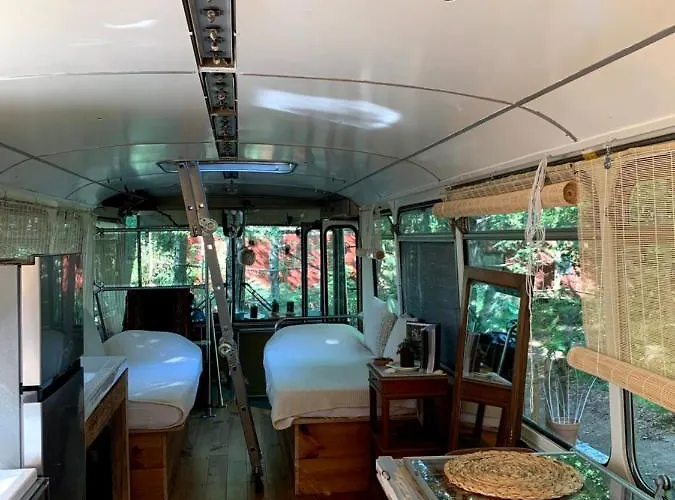 Magic Roof Bus With Big Bath In The Tree Forest!