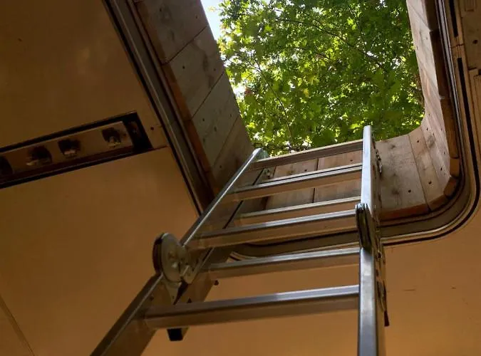 Camping Magic Roof Bus With Big Bath In The Tree Forest!